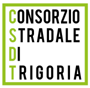 CSDT Logo